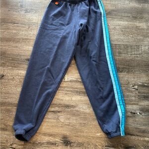 Aviator Nation Navy Sweatpants with Aqua Side Stripes